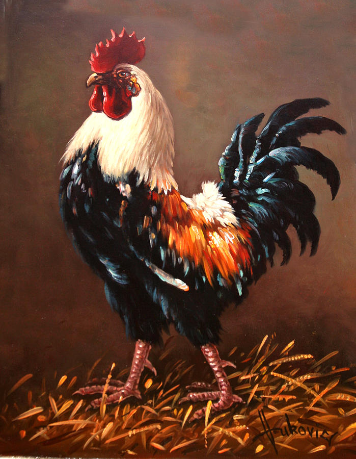 699x900 Rooster - Rooster Oil Painting