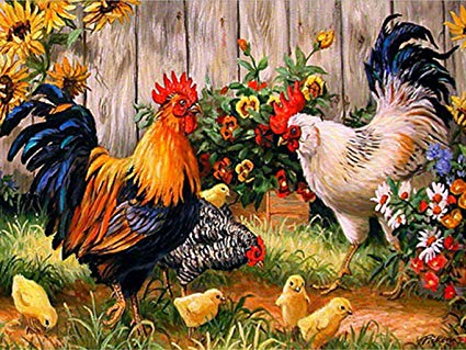 Rooster Painting On Canvas At Paintingvalley Com Explore Collection