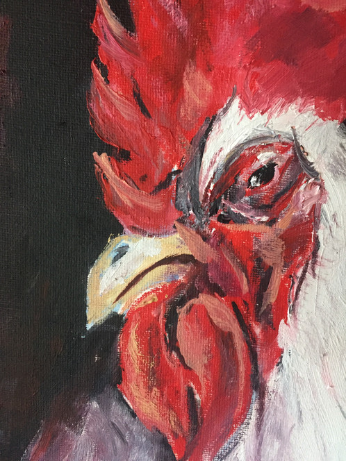498x664 Hand Painted Rooster Canvas - Rooster Painting