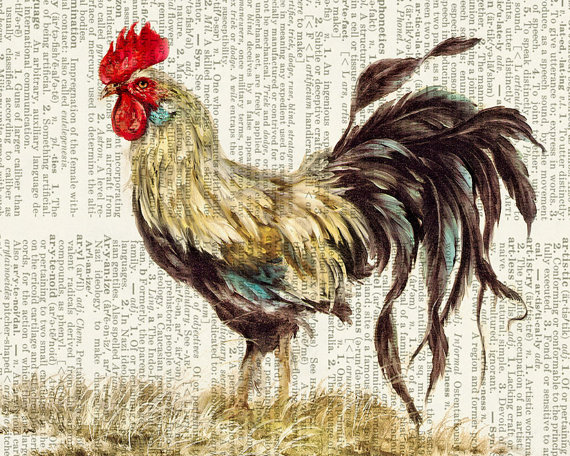 570x456 Rooster Painting Print Dictionary Art, Wall Art Prints And Art - Rooster Painting Images
