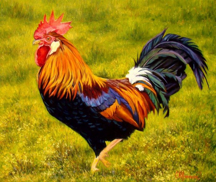 Rooster Painting On Canvas At Paintingvalley Com Explore Collection