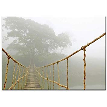 355x355 New Ikea Bridge Jungle Journey Picture With Frame - Rope Bridge Painting