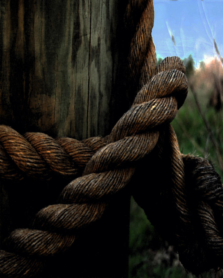 721x900 Sailor's Rope Painting By Karen Harrison - Rope Painting