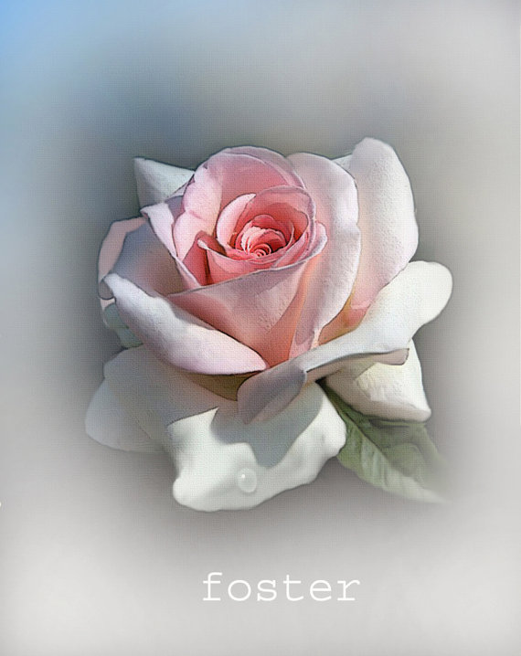 570x718 Rose Pictures Art Desktop Backgrounds - Rose Art Painting