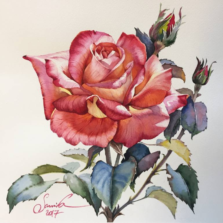 770x770 Saatchi Art Light Beautiful Rose Painting By Samira Yanushkova - Rose Art Painting