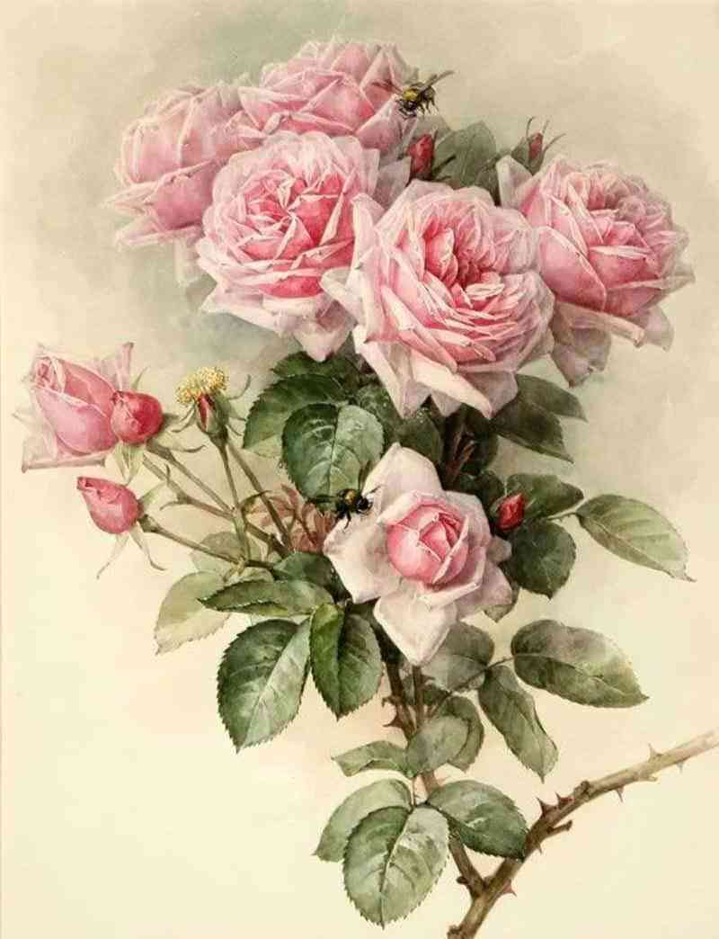 800x1044 Pink Rose Bouquet Diamond Painting Kit - Rose Bouquet Painting