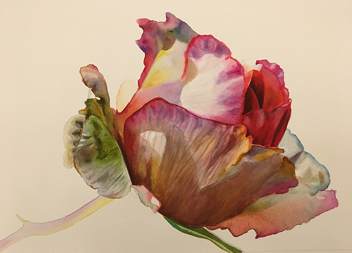 700x502 How To Create A Beautiful Dark Background - Rose Bud Painting