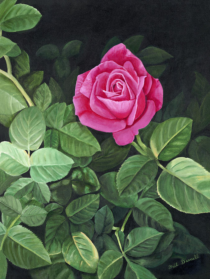 Famous Rose Painting At Explore Collection Of