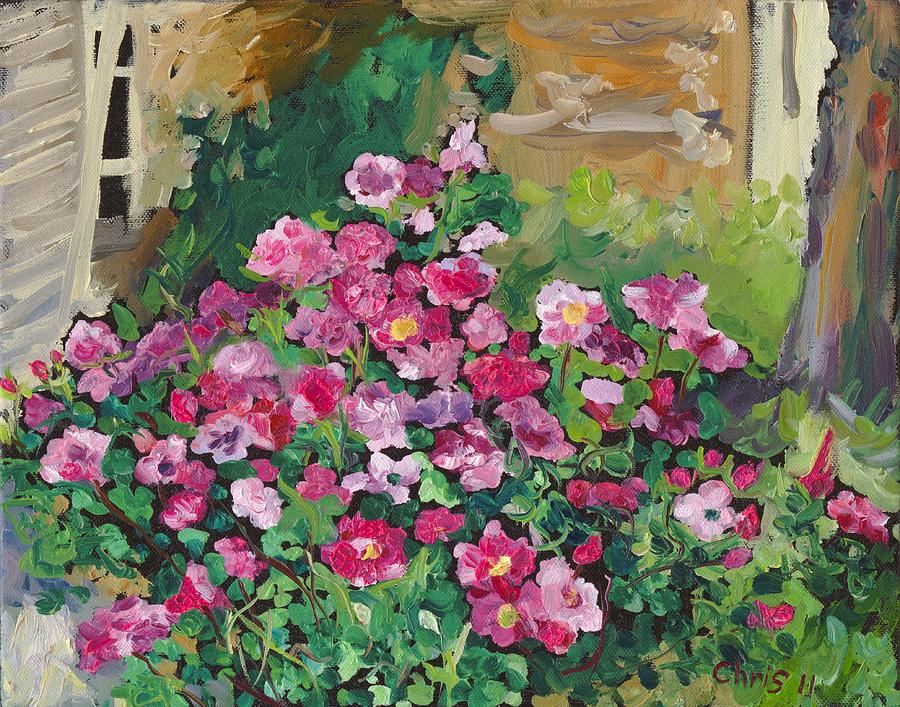 900x707 Pink Rose Shrub Painting By Christina Plichta - Rose Bush Painting