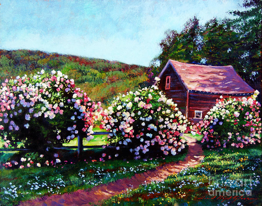 900x707 Rose Bushes Painting By David Lloyd Glover - Rose Bush Painting