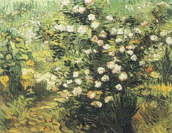 560x433 Rosebush In Blossom Painting Vincent Van Gogh Oil Paintings - Rose Bush Painting