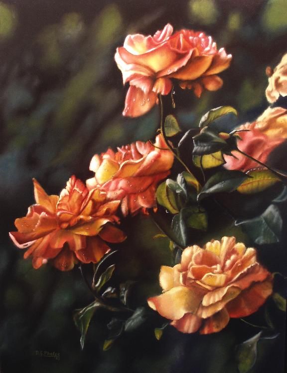 576x747 Rose Bush Painting - Rose Bush Painting