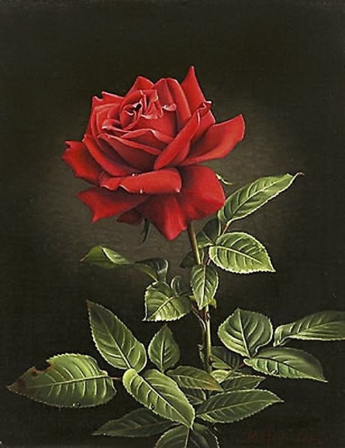 500x649 Still Life With Roses. Oil On Canvas. Painting By German Artist - Rose Canvas Painting