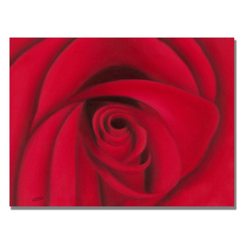 800x800 Trademark Art Red Rose By Rio Painting Print On Canvas Amp Reviews - Rose Canvas Painting