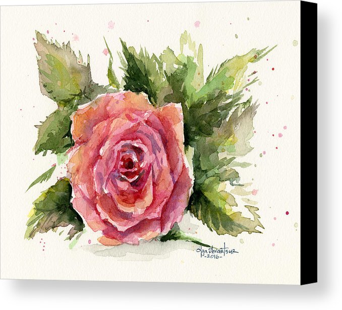 678x615 Watercolor Rose Canvas Print Canvas Art By Olga Shvartsur - Rose Canvas Painting