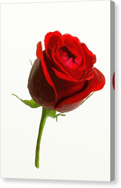 403x622 Wild Red Rose Painting By Catherine Roberts - Rose Canvas Painting