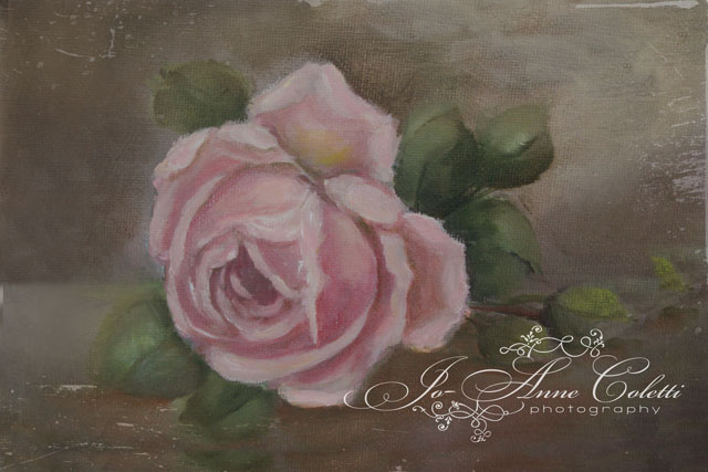 640x427 Rose Painting, Canvas Prints, Vintage Roses, Joanne Coletti - Rose Canvas Painting