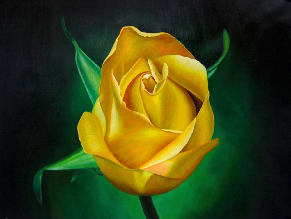 1000x755 Buy Yellow Rose By Community Artists Group@ Rs. 4990. Code - Rose Flower Painting