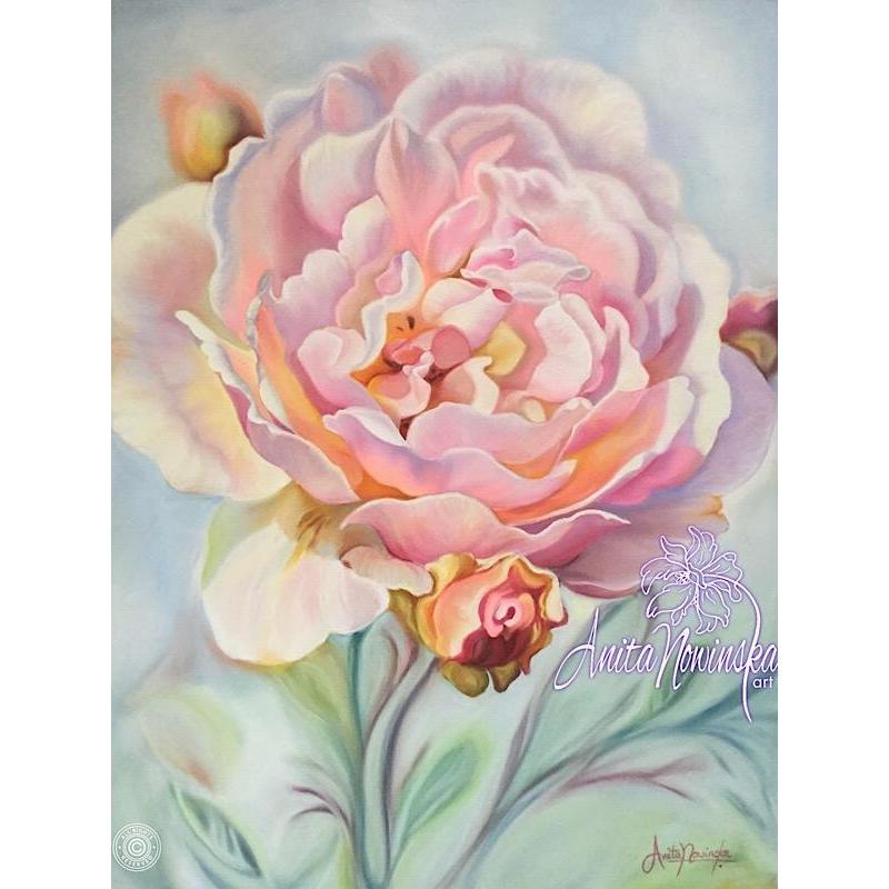 800x800 Nurture Soft Pink Rose Relaxing Flower Painting Art Interiors - Rose Flower Painting