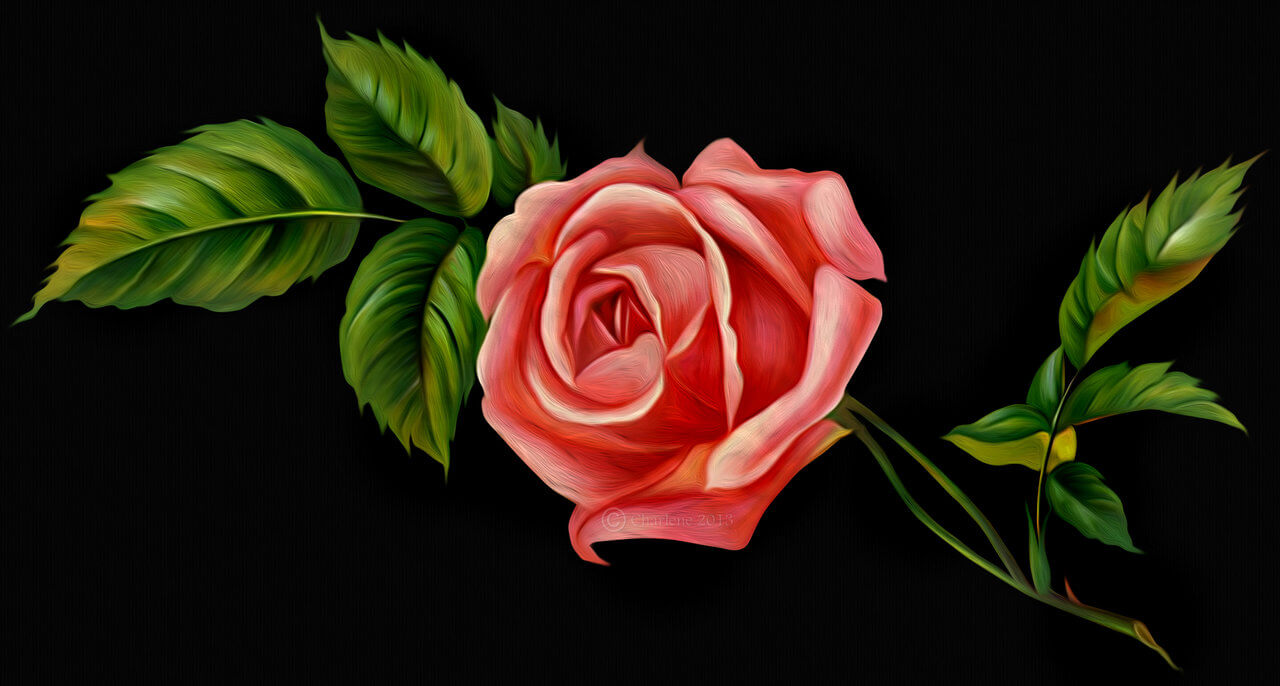 1280x686 Rose Paintings, Art Ideas, Pictures, Images Design Trends - Rose Flower Painting