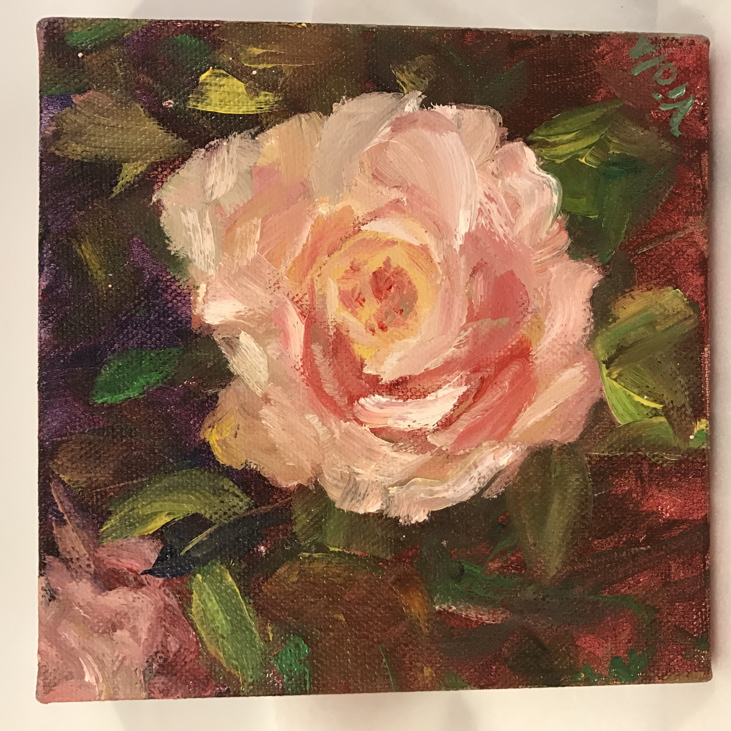 3024x3024 Rose Oil Painting, 6 X 6, Gallery Wrap Debbie Viola - Rose Oil Painting