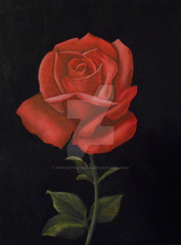 600x811 Single Red Rose Oil Painting 16 X 12 By Hayleyhuckson - Rose Oil Painting