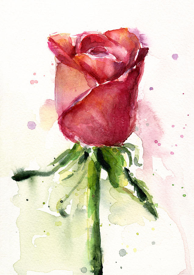 636x900 Rose Watercolor Painting By Olga Shvartsur - Rose Painting