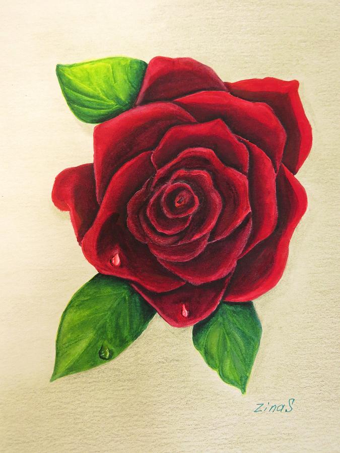 675x900 Dark Red Rose Painting By Zina Stromberg - Rose Painting