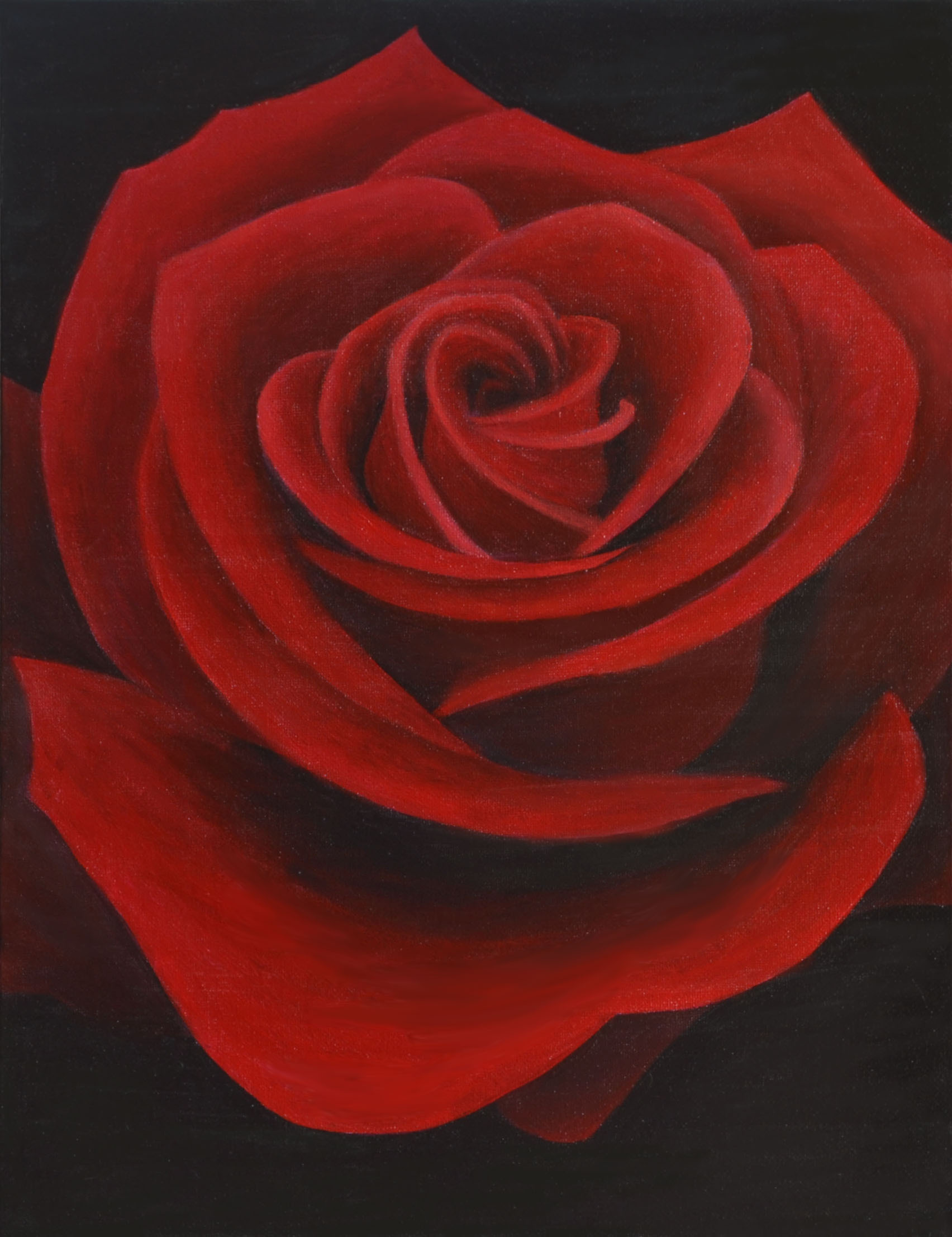 1704x2214 Deep Red Rose Painting - Rose Painting