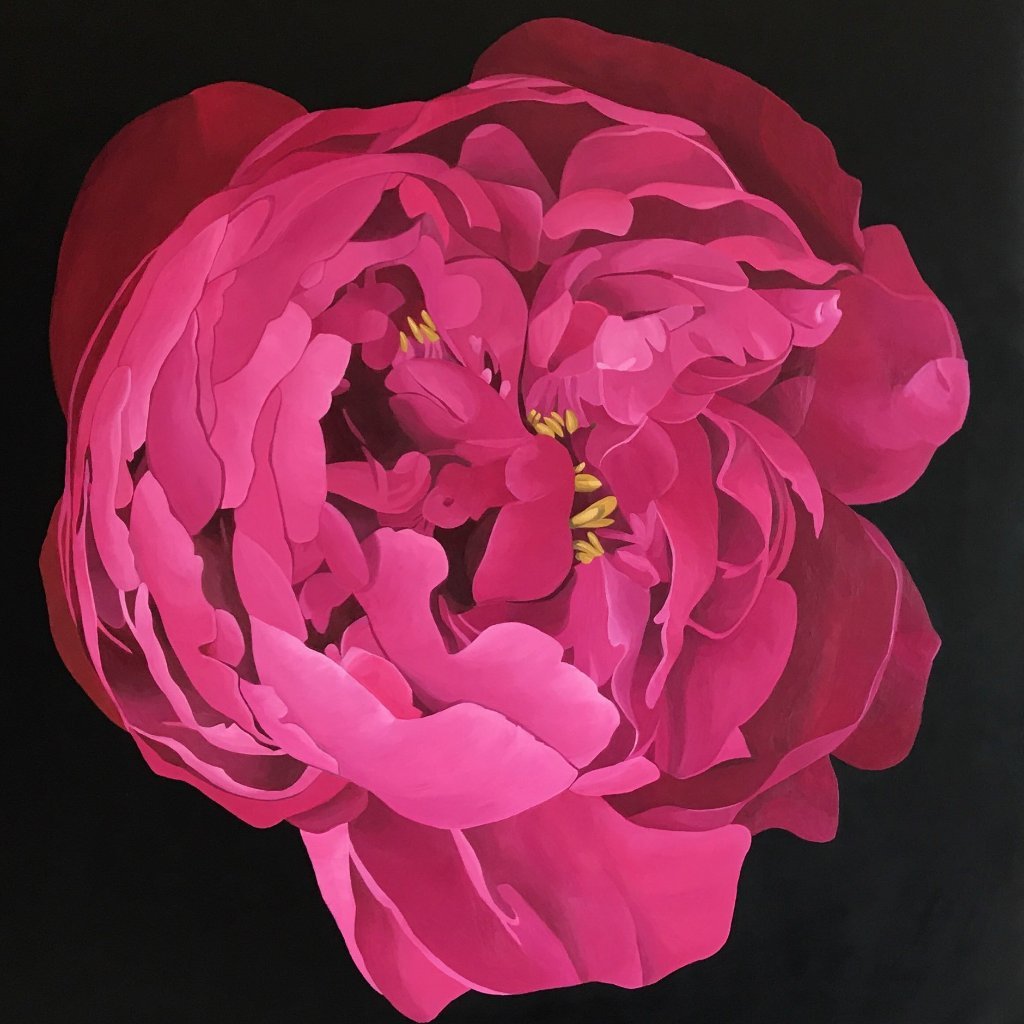 1024x1024 Peony Rose Painting - Rose Painting Images