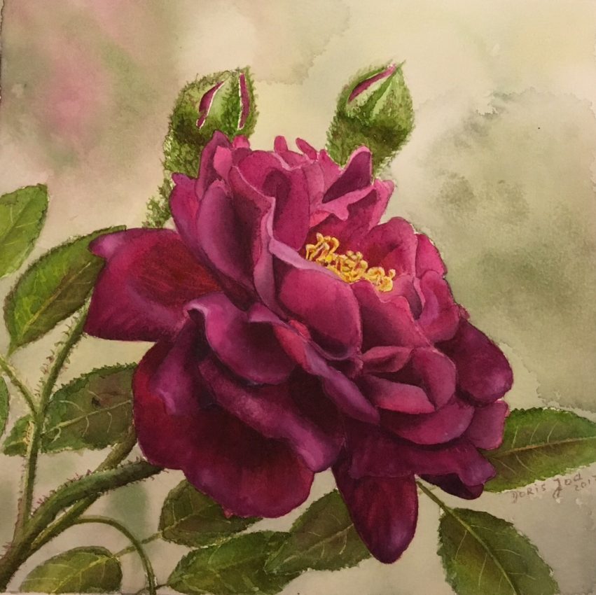 851x850 Purple Rose - Rose Painting Images