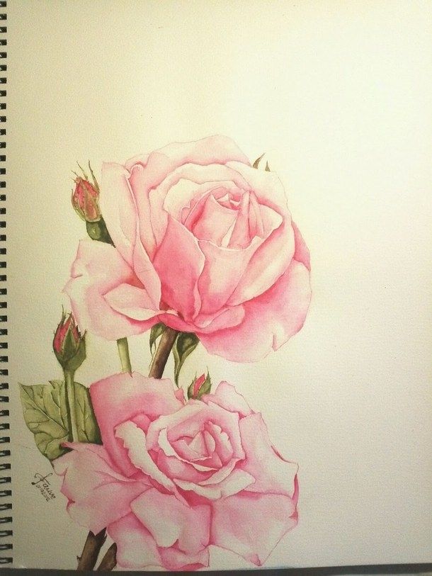 610x813 Rose Painting Pictures, Photos, And Images For Facebook, Tumblr - Rose Painting Images