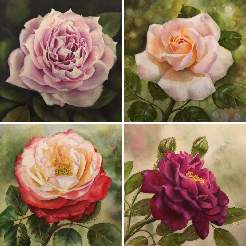 800x800 Violet Rose Painting Watercolor Amp Oil Paintings Of Roses - Rose Painting Images