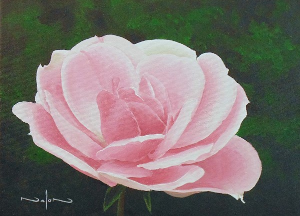 600x433 How To Paint A Rose In Acrylic Online Art Lessons - Rose Painting Images