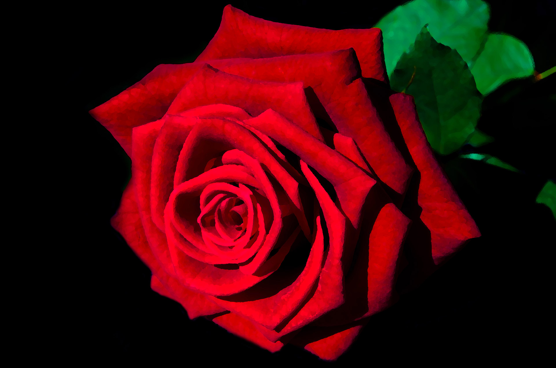 1920x1272 Painting Rose Free Stock Photo - Rose Painting Images