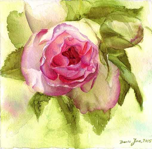 510x500 Watercolor Painting - Rose Watercolor Painting