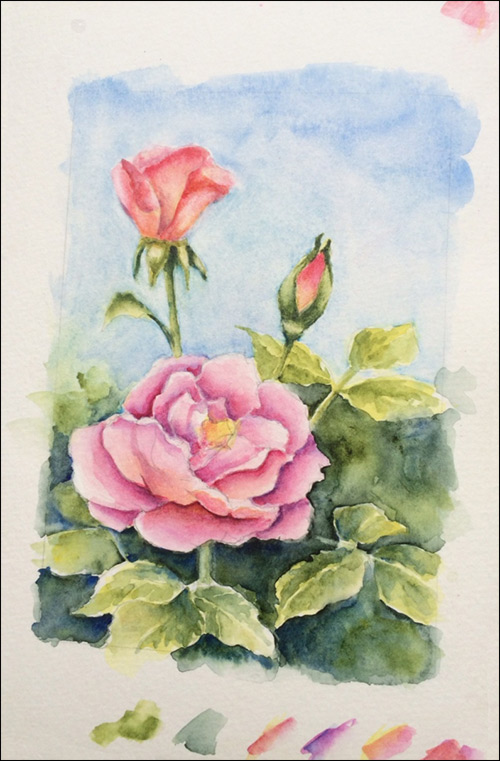 500x761 How To Paint Realistic Watercolor Roses - Rose Watercolor Painting
