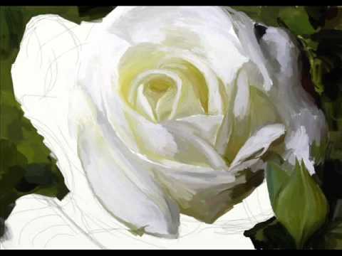 480x360 Painting A White Rose 2) - Rose White Painting