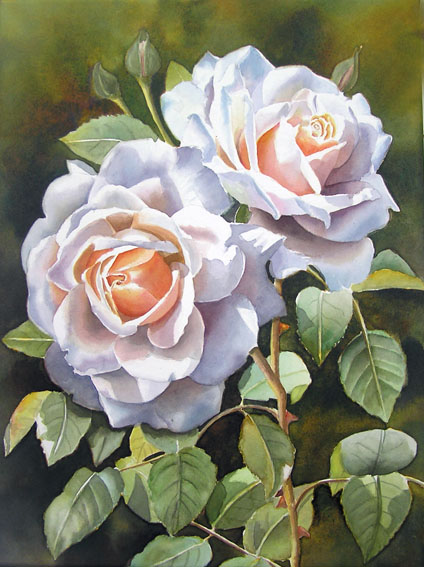 424x567 Rose Clair Renaissance - Rose White Painting