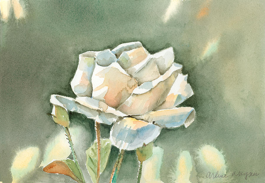 900x623 Single Flower Paintings Fine Art America - Rose White Painting