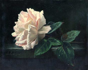 350x278 The 166 Best Arte - Rose White Painting