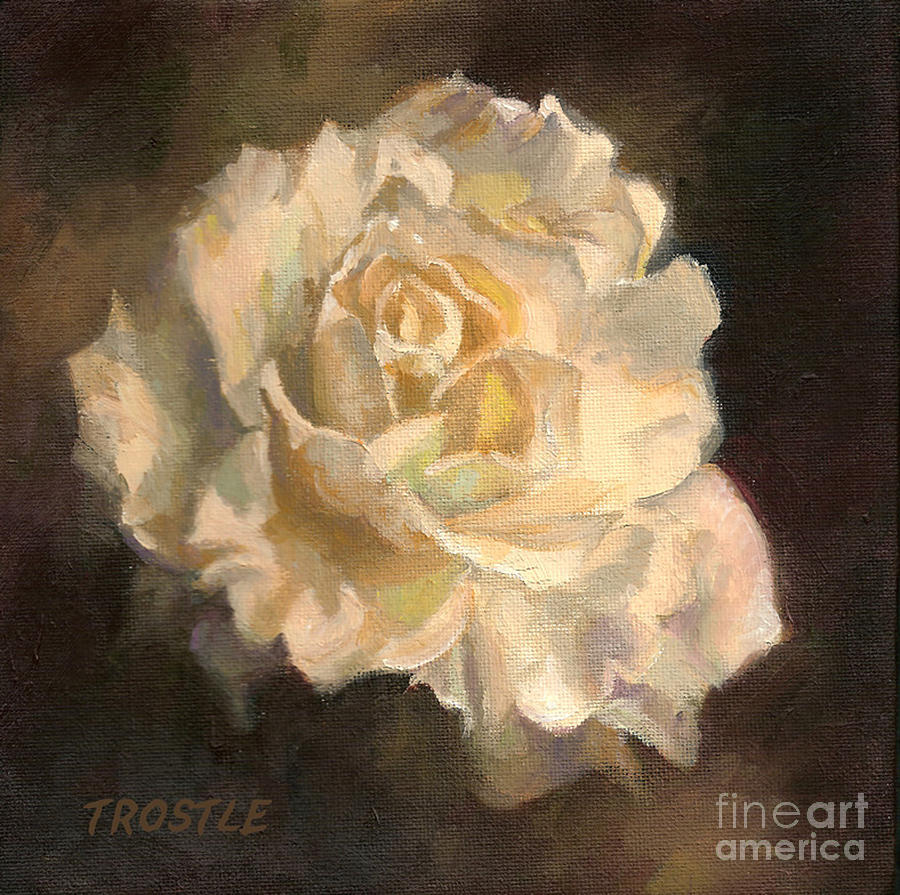 900x895 The White Rose Painting By Patti Trostle - Rose White Painting