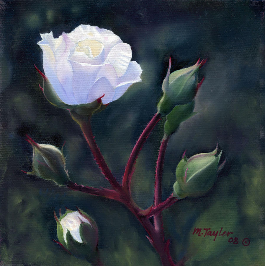 898x900 White Rose Painting By Michael Taylor - Rose White Painting