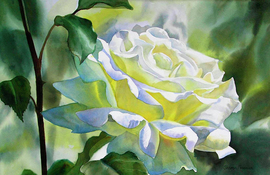 900x584 White Rose With Yellow Glow Painting By Sharon Freeman - Rose White Painting