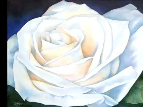 480x360 White Whisper Watercolour Painting Of A White Rose - Rose White Painting