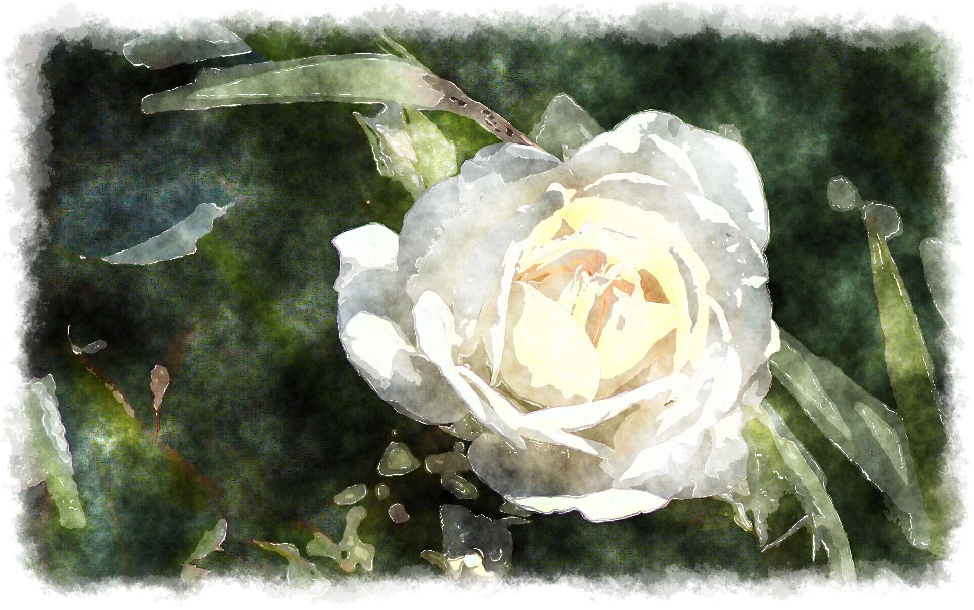 1920x1203 Watercolor White Rose - Rose White Painting