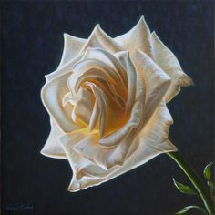 236x236 Creation Vii - Rose White Painting