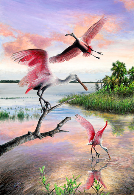 450x652 Peter R. Gerbert's The Spoonbill Lagoon - Roseate Spoonbill Painting