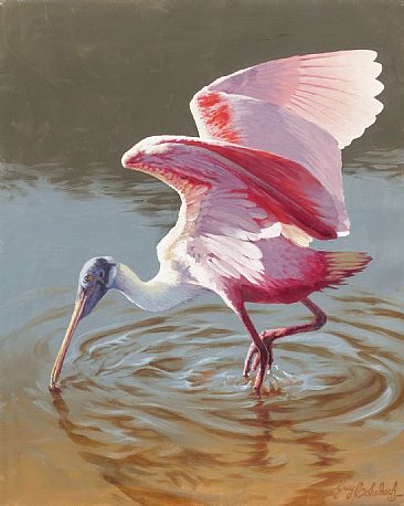 366x458 Roseate Spoonbill - Roseate Spoonbill Painting