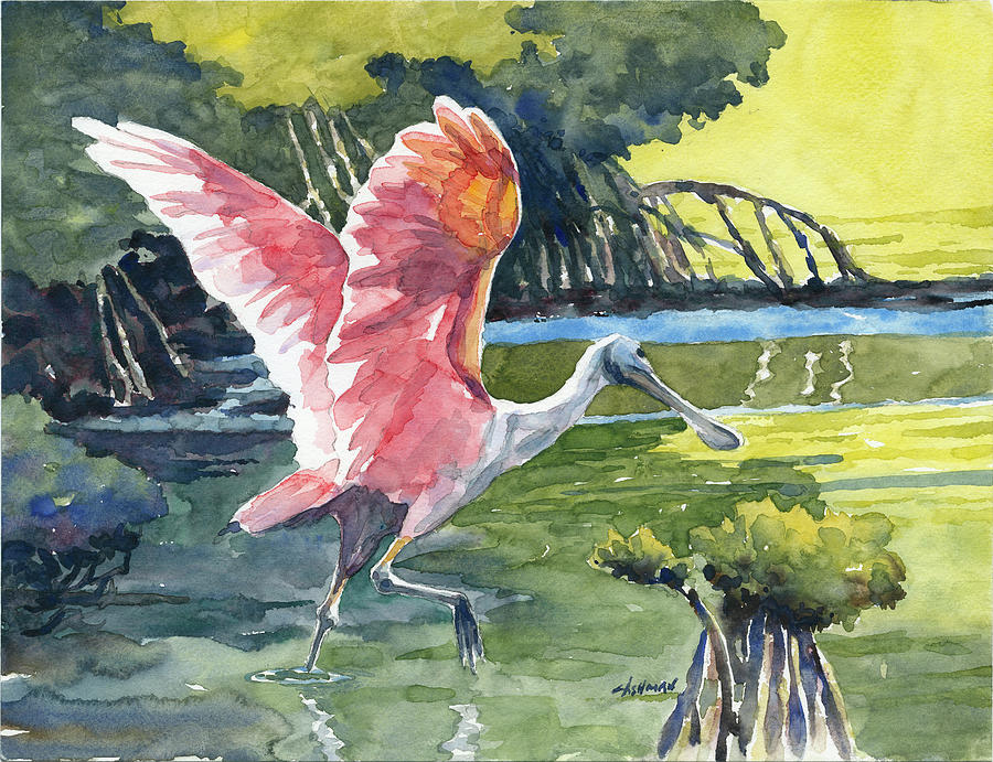 900x691 Roseate Spoonbill Painting By Bill Cashman - Roseate Spoonbill Painting